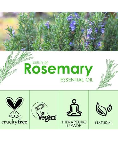SALKING Rosemary Essential Oil 120ml - 100% Pure Natural Therapeutic Grade Aromatherapy Oil for Energy Boost and Nasal Congestion Relief - Fragrance Oil for Diffuser - Gift for Women - Buy Online on GoSupps.com
