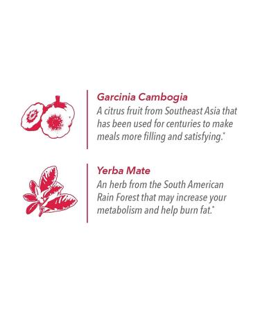 Premium Burn + Control Coffee with Garcinia Cambogia & Yerba Mate for Weight Management - 24 Count - Buy Online on GoSupps.com