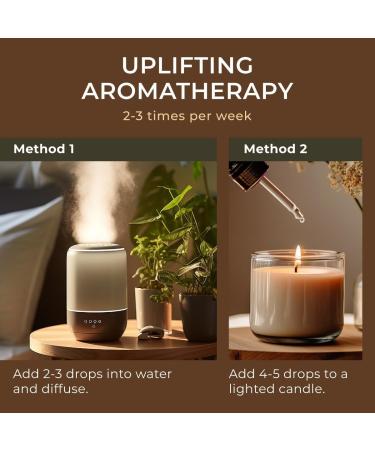 Patchouli Essential Oil 100% Natural Dark Amber Glass Bottle with Droppe (1.0 Fl Oz/30ml Patchouli) Musky 1 Fl Oz (Pack of 1) - Buy Online on GoSupps.com