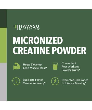 Micronized Creatine Monohydrate Powder - 5g Unflavored Post-Workout Recovery for Lean Muscle Mass Endurance and Energy Production - Easy-to-Mix - Vegan Non-GMO Gluten-Free - 60 Servings 60 Servings (Pack of 1) - Buy Online on GoSupps.com