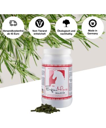 Equimove Bundle for Horses | Muscle Joint & Tendon Support | 1.5 kg Supplementary Feed - Buy Online on GoSupps.com