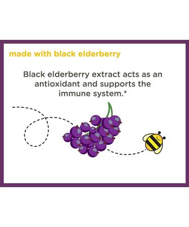 Zarbeeâ€™s Naturals Kids Elderberry Gummies - Immune Support, Natural Berry Flavor, 42 Count - Buy Online on GoSupps.com
