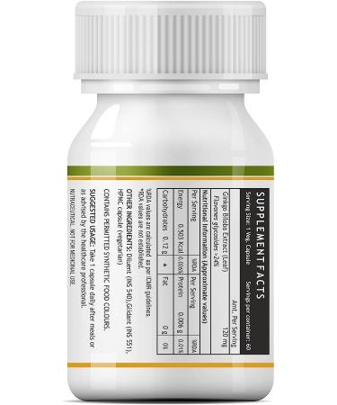 Ginkgo Biloba Extract 120mg (60 Vegetarian Capsules) for Healthy Brain Function - Buy Online on GoSupps.com