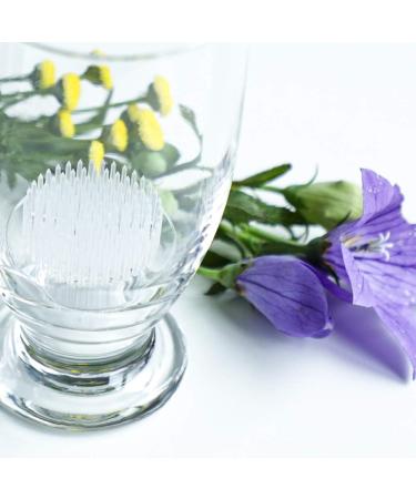 Wazakura Clear Ikebana Kenzan 2 (53mm) - Japanese Flower Holder Made in Japan - Buy Online on GoSupps.com