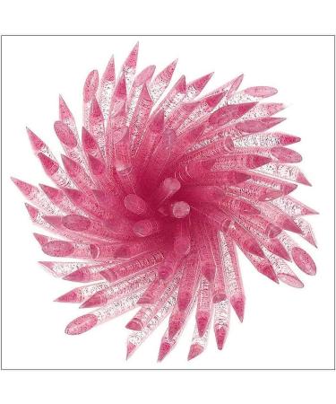 100 Pcs 4IN Nail Orange Sticks Cuticle Pusher Wood Remover Tool - Pink #2 - Buy Online on GoSupps.com