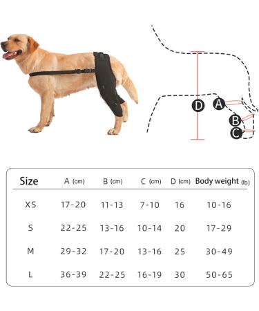 knee brace back leg brace dog leg support pet leg support back leg support dog hip brace hip joint brace brace Small - Buy Online on GoSupps.com