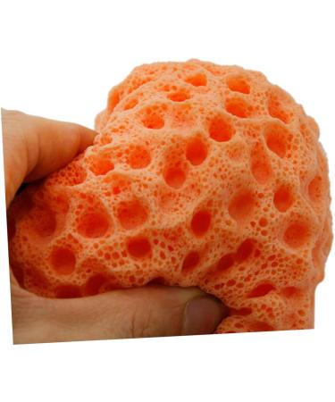 POPETPOP Loofah Sponge Infant Bath Sponge Kids Bath Sponges Bath Sponges for Shower Soothing Body Sponge Bath Body Shower Loufa Sponge Face Dish Gentle Child Bath Flower Super Soft - Buy Online on GoSupps.com
