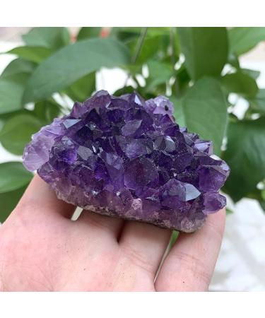 100-120g Natural Stone deep Amethyst Quartz Crystal Cluster Specimen ningxiao - Buy Online on GoSupps.com