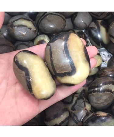 Crystal Natural Palm Stone Quartz Crystal Palm Stone Specimen - Buy Online on GoSupps.com