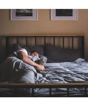 Ancient Minerals Magnesium Lotion Goodnight Cream with Melatonin (2.5oz) - Buy Online on GoSupps.com