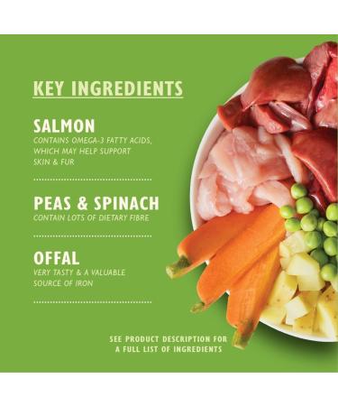 Lily's Kitchen Grain-Free Wet Dog Food - Adult Dogs 6 x 150g Multipack | Healthy & Convenient 6-Seater Bowls - Buy Online on GoSupps.com
