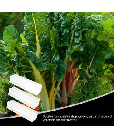 GANAZONO 3pcs Cucumber Mold Square Cucumber Growing Molds Solar Water Fountain Stereotypes Pp Ginseng Fruit - Buy Online on GoSupps.com