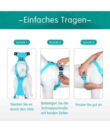 POPOTET Reflective Dog Harness - Soft Breathable Mesh Adjustable Neck & Chest Double Padded Vest No Suffocation - Blue Large - 1 Pack - Buy Online on GoSupps.com