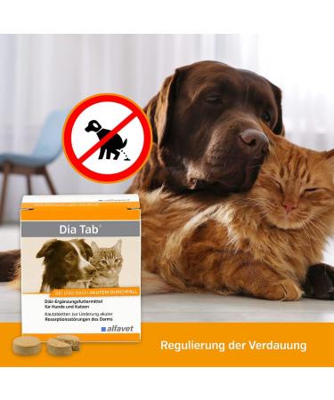 Alfavet Dia Tab - Supplementary Feed for Dogs & Cats | 6 x 5.5g | Helps Reduce Diarrhea | Ideal On-the-Go Solution - Buy Online on GoSupps.com