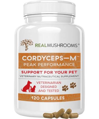 Real Mushrooms Cordyceps Pet & Human Performance Bundle (120ct) - Energy & Vitality Supplement for Pets and Humans - Gluten-Free Non-GMO - Buy Online on GoSupps.com