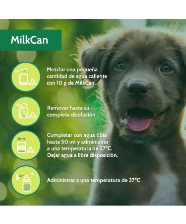 STANGEST Milk Can 400GR - Buy Online on GoSupps.com