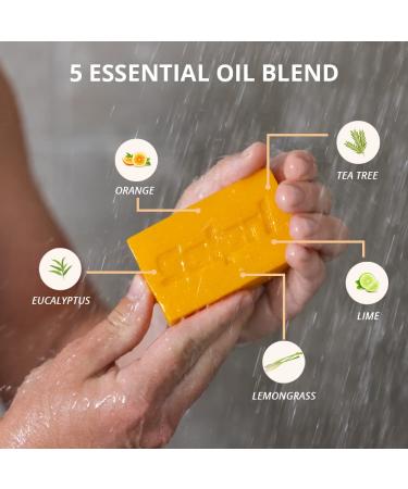 Solpri Shield Tea Tree Soap Bar 4 oz (2 Pack) with Lemongrass Eucalyptus Oil - Skin Safe for Jock Itch & Athlete's Foot - Buy Online on GoSupps.com