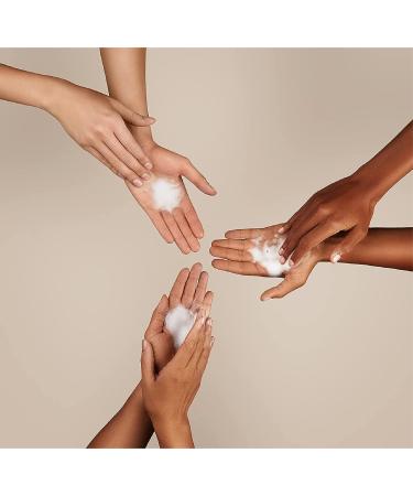 J.R. Watkins Rosewater Foaming Hand Soap 9 fl oz 3 Pack - All Natural, Alcohol-Free, Cruelty-Free, Moisturizing Foam Hand Wash - Made in USA - Buy Online on GoSupps.com