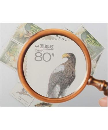 Glass 10 Times High-Grade Retro Wooden Handle Portable Children Students Elderly Reading Recognition Maintenance Elderly Glass HD Lens 90MM Good Times - Buy Online on GoSupps.com