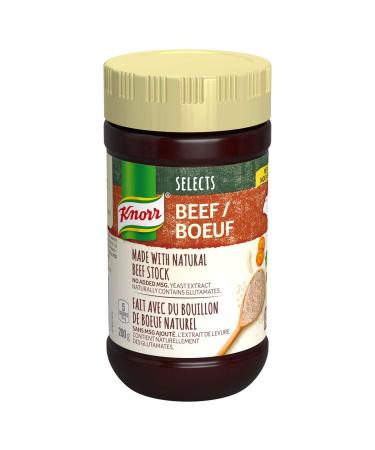 Knorr Selects Beef Bouillon Powder 200g/7.1oz - Imported from Canada - Buy Online on GoSupps.com