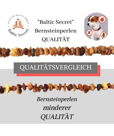 Baltic Secret Amber Necklace for Dogs & Cats - Natural Tick & Flea Protection | 24-26 cm - Buy Online on GoSupps.com