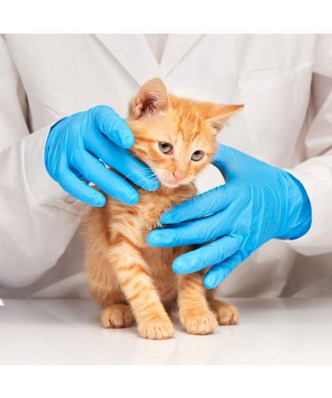 Blue Nitrile Exam Gloves - Latex-Free & Powder-Free - NGPF 7002 - Case of 1000, Medium Size - Buy Online on GoSupps.com