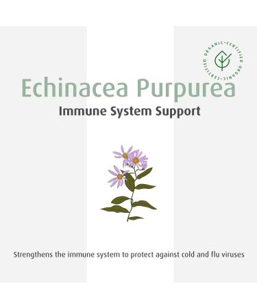 A.Vogel Echinaforce Junior Chewable Tabs - Cold & Flu Relief for Kids 2+ | 180 Organic Echinacea Tabs - Buy Online on GoSupps.com