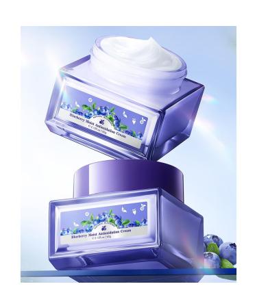 Blueberry Moist Facial Cream - 60g | Calming Softening & Moisturizing Skincare for Clear & Firm Skin - International Shipping Available - Buy Online on GoSupps.com