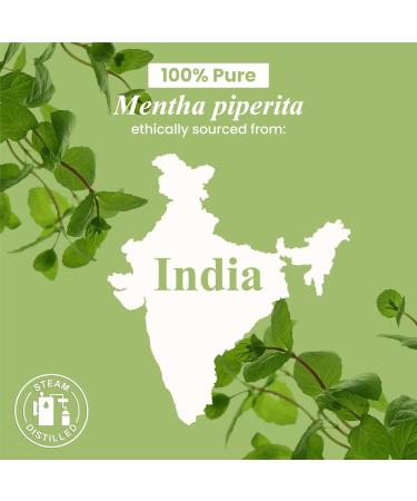 Handcraft Blends Peppermint Essential Oil Huge 4 Fl Oz 100% Pure and Natural Premium Grade Essential Oil for Diffuser and Aromatherapy Skin Massage Candle and Soap Making Fragrance Peppermint 4 Fl Oz (Pack of 1) - Buy Online on GoSupps.com