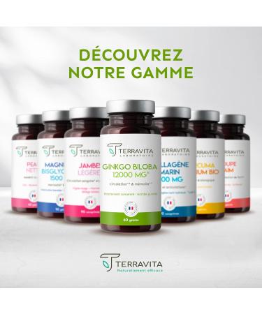 GINKGO BILOBA 12000 mg | 50:1 Extract Highly Dosed 6000 mg per Capsule | Memory Booster - Concentration - Tinnitus - Blood Circulation | 60 Vegan Capsules | Made in France | Terravita - Buy Online on GoSupps.com