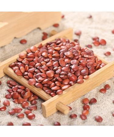 Zizyphus Jujuba Semen Ziziphi Spinosae Spine Date Seed Semen Zizyphi Spinosae Zizylphus Jujuba Mill. Var. Spinosus Hu spine Date Seed Wild Jujube Kernel suanzaoren (250grams) - Buy Online on GoSupps.com