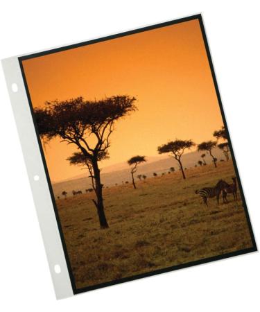 ProFolio by Itoya PolyGlass Refill Pages - 11 x 14 Inches (10-Pack) - Buy Online on GoSupps.com