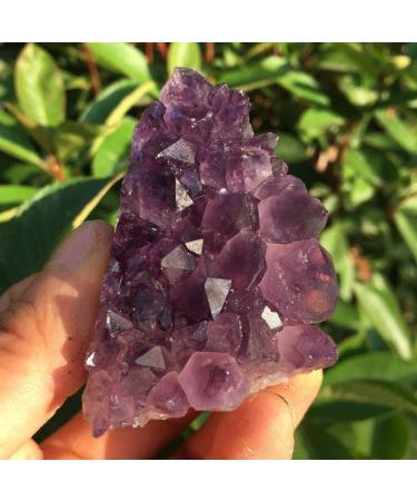 Natural Crystal Rough Natural Amethyst Quartz Crystal Cluster Specimen 50-60g - Buy Online on GoSupps.com