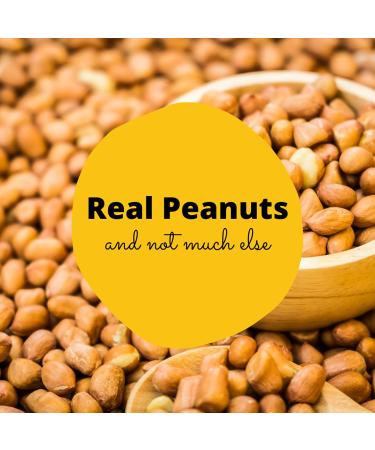 Vegan Mini Peanut Butter Bars Variety Pack - High Protein, Low Sugar, Low Calorie, Gluten Free - 3 Bags with 10 Individually Wrapped Pieces - Crunchy Plant Based Snack - 3 Pack - Buy Online on GoSupps.com