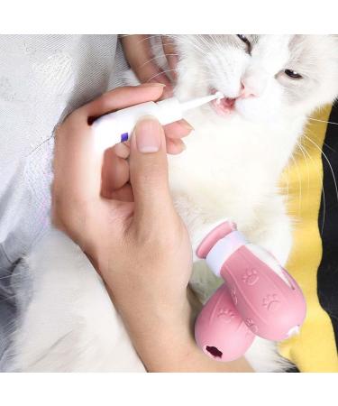 AAED Anti-Scratch Cat Boots - 4 Adjustable Pink Paw Covers for Pet Care Swimming & Grooming - Buy Online on GoSupps.com