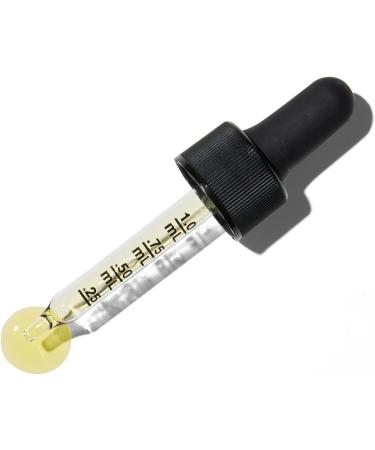 GNC Herbal Plus Oil of Oregano Supplement Vegetarian Supports General Well-Being 448 Servings - Buy Online on GoSupps.com