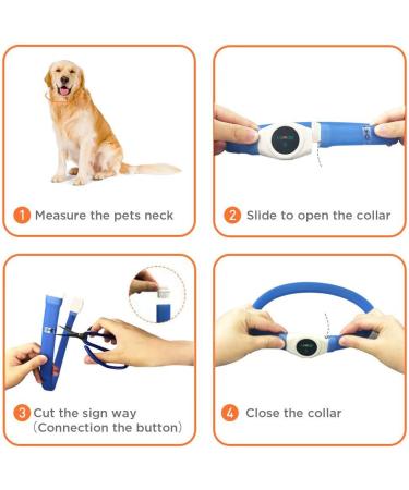 Laroo LED Dog Collar - USB Rechargeable Night Safety Luminous Collar for Small Medium Large & Long-Haired Dogs - 3 Modes 65cm x 2.5cm Blue - Buy Online on GoSupps.com