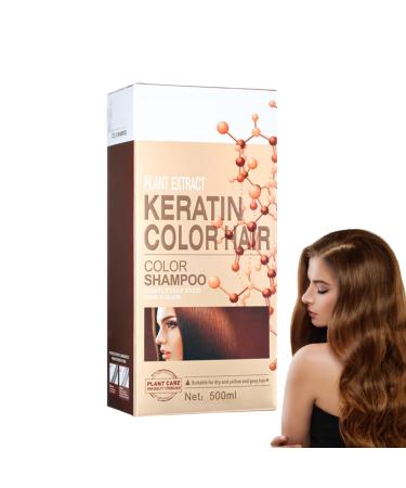 Zankie Silver gray hair color shampoo natural hair color shampoo 6in1 hair dye covers gray hair longlasting color shampoo for men and women for gray hair 500 ml