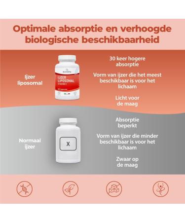 Bandini Liposomal Iron Complex 30 mg with vitamin C folic acid B12 B6 and A High bioavailability against fatigue and exhaustion 60 capsules - Buy Online on GoSupps.com