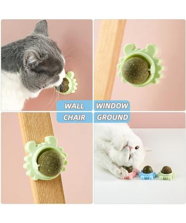 Havenfly 3 Catnip Balls Interactive Cat Toys 360 Rotating Catnip Treats with Storage Lid Effective for Cleaning Teeth and Enhancing Cat's Excitement (3PCS) - Buy Online on GoSupps.com