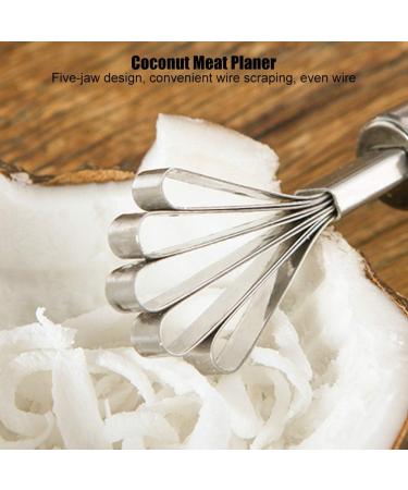 Buy QANYEGN Stainless Steel Coconut Scraper & Shaver Multipurpose Kitchen Tools for Easy Coconut Preparation - Buy Online on GoSupps.com