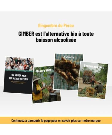 GIMBER Organic Ginger Concentrate 2x700 ml (1.4L) | 100% organic non-alcoholic drink made with ginger lemon and spices - Buy Online on GoSupps.com