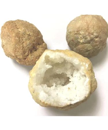 Natural Crystal Rough Stone Jewelry Specimen Healed 1PC Natural Agate geode Crystal Hole Specimen Contains Clear Crystal Clusters Stone Halloween Decorations As a Gift Stone Jewelry - Buy Online on GoSupps.com