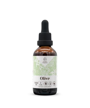 Olive Alcohol-Free Natural Tincture Extract Immune System Booster Liquid Drops Made from 100% (2 fl oz) 2 Fl Oz (Pack of 1)