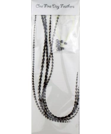 Grizzly Real Feather Hair Extensions - Set of 5 Feathers - Buy Online on GoSupps.com
