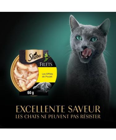 Sheba Domes Fillets Wet Adult Cat Food Chicken Tapered Fillets Pack of 2 x (16x60g) - Buy Online on GoSupps.com