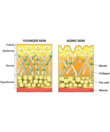 Herbal Magic Plant Based Collagen Builder - 60 Capsule  - Buy Online on GoSupps.com