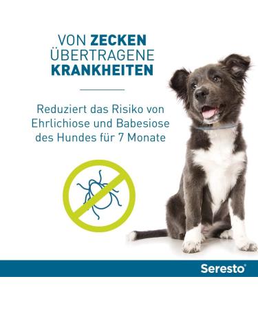 Buy Seresto Elanco Collar for Small Dogs | 7-8 Months Flea & Tick Protection | 36 cm Up to 8 kg - Buy Online on GoSupps.com