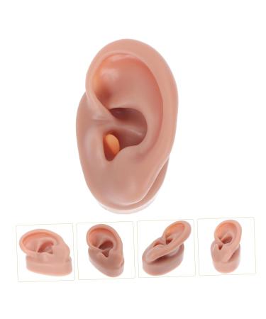 Angoily Human Ear Acupuncture Model - 1pc Silicone Display Ear Simulator for Massage & Learning | 6.5x3.5cm - Buy Online on GoSupps.com
