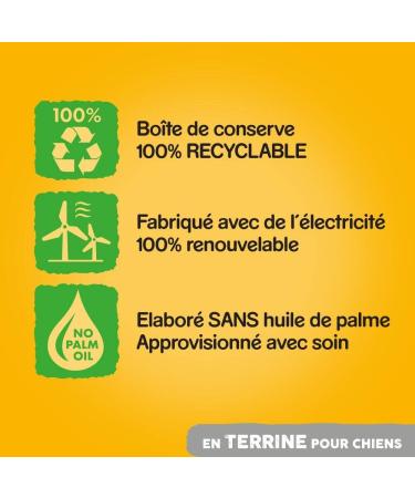 Pedigree Dog Meal - Terrine Boxes for Adult Dogs with Beef and Carrots - 12 x 800g - Buy Online on GoSupps.com